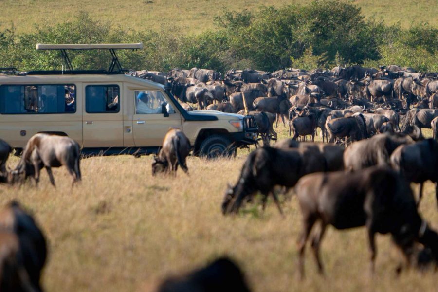 9 Days 6 Nights Kenya Great Migration